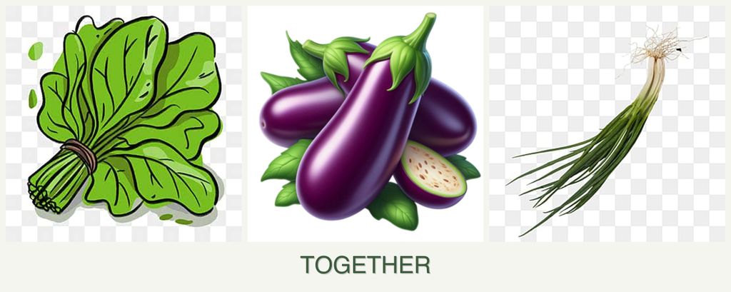 Can you plant spinach, eggplant and chives together?