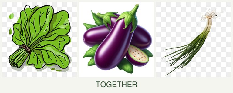 Can you plant spinach, eggplant and chives together?