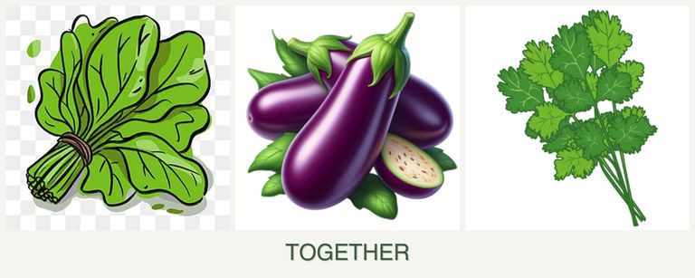 Can you plant spinach, eggplant and cilantro together?