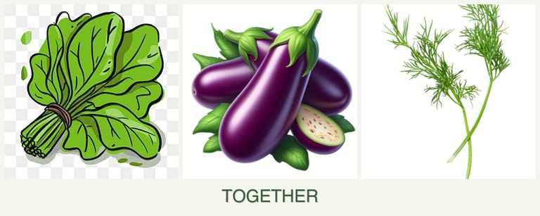 Can you plant spinach, eggplant and dill together?