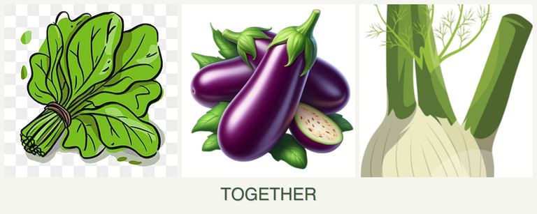 Can you plant spinach, eggplant and fennel together?