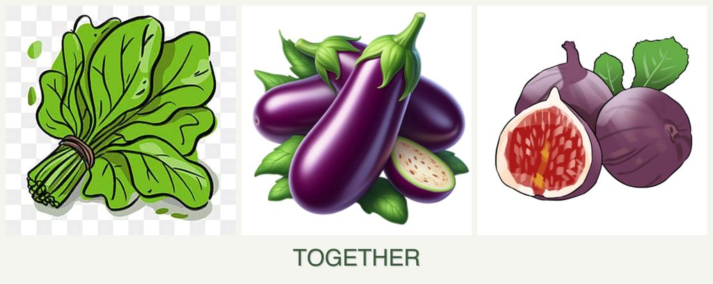 Can you plant spinach, eggplant and figs together?