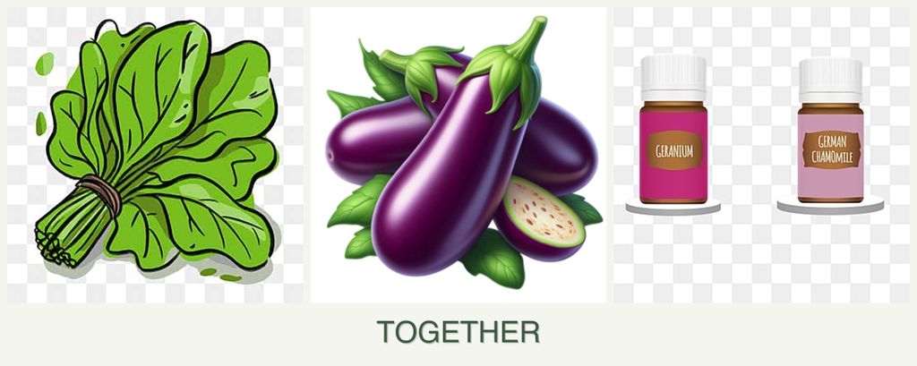 Can you plant spinach, eggplant and geraniums together?