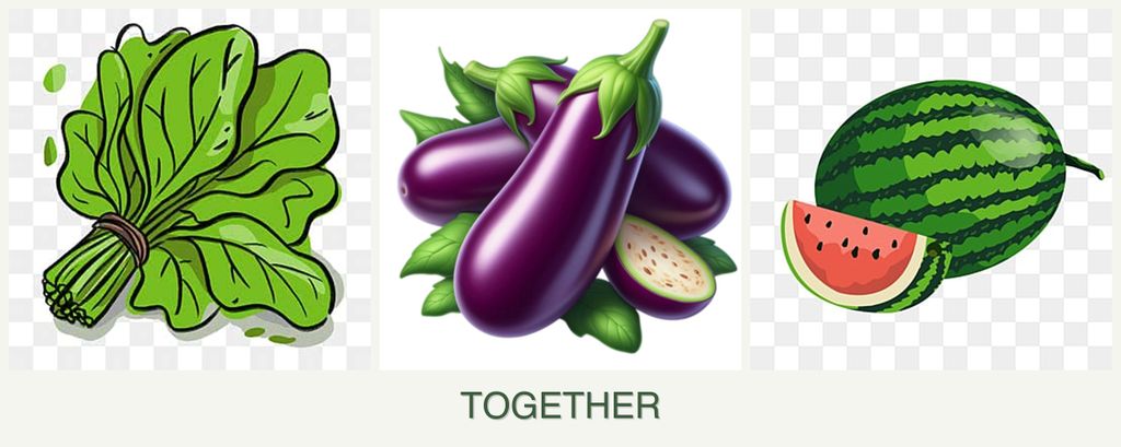 Can you plant spinach, eggplant and melons together?