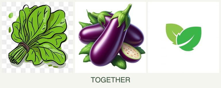 Can you plant spinach, eggplant and mint together?