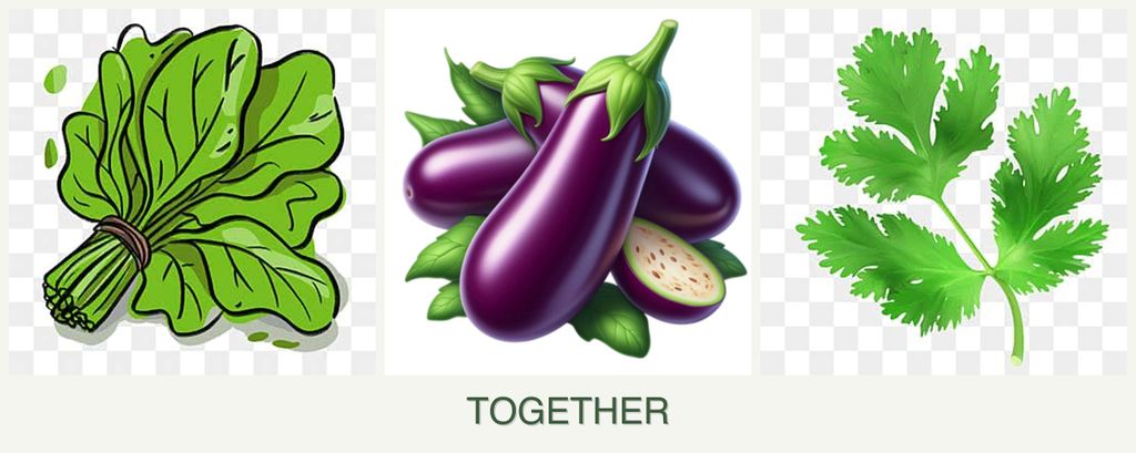 Can you plant spinach, eggplant and parsley together?
