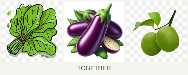 Can you plant spinach, eggplant and plums together?