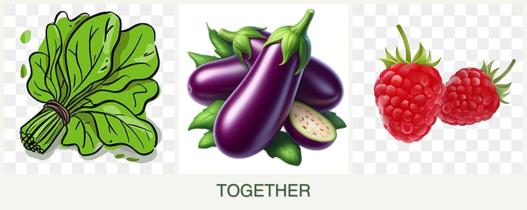 Can you plant spinach, eggplant and raspberries together?