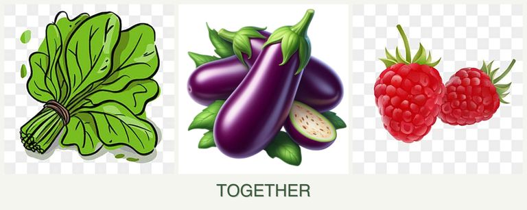 Can you plant spinach, eggplant and raspberries together?