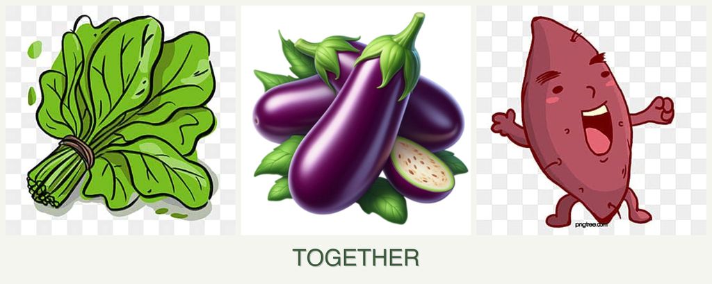 Can you plant spinach, eggplant and sweet potatoes together?