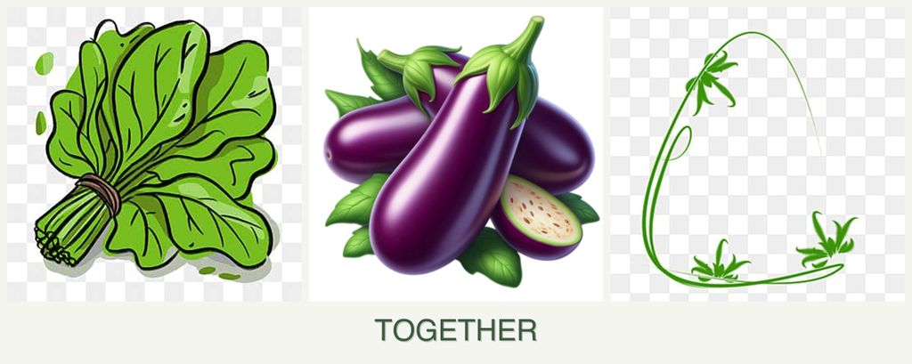 Can you plant spinach, eggplant and tarragon together?