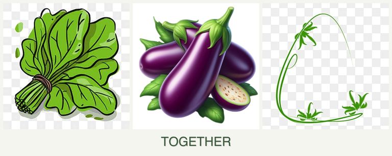 Can you plant spinach, eggplant and tarragon together?