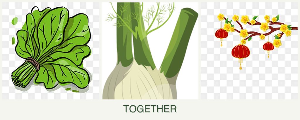 Can you plant spinach, fennel and apricots together?