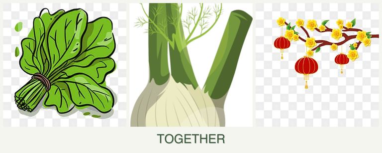 Can you plant spinach, fennel and apricots together?