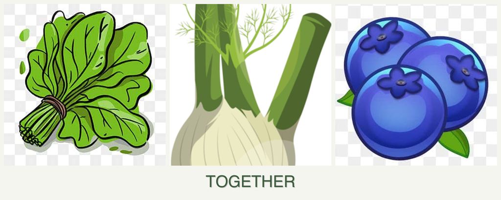 Can you plant spinach, fennel and blueberries together?