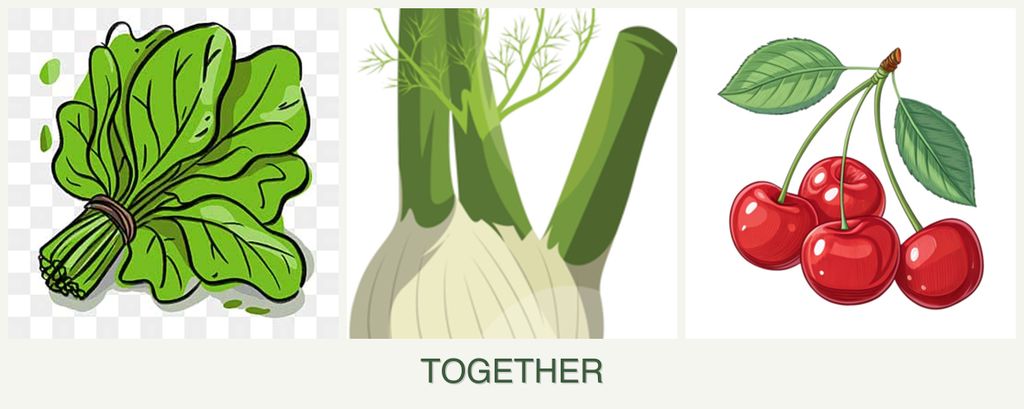 Can you plant spinach, fennel and cherries together?