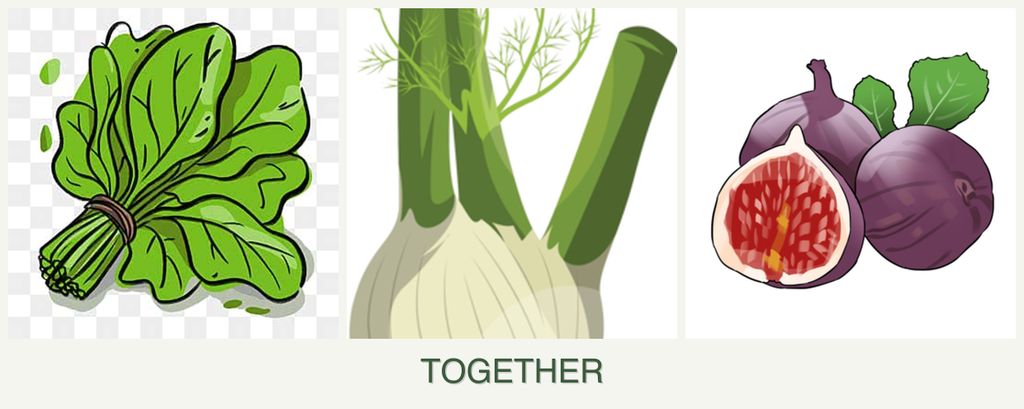 Can you plant spinach, fennel and figs together?