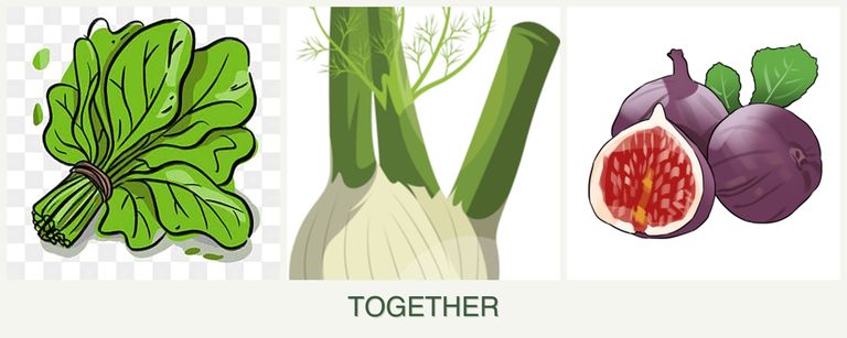 Can you plant spinach, fennel and figs together?