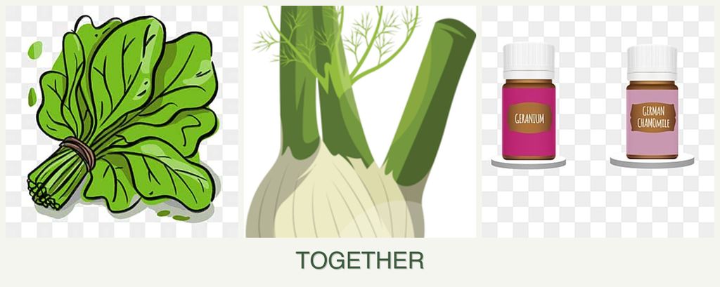 Can you plant spinach, fennel and geraniums together?
