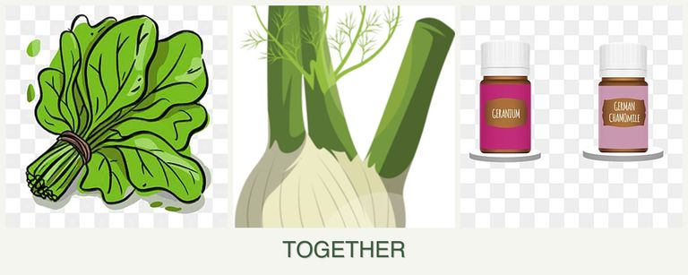 Can you plant spinach, fennel and geraniums together?