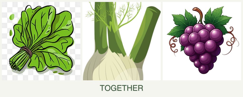 Can you plant spinach, fennel and grapes together?