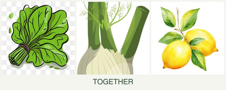 Can you plant spinach, fennel and lemons together?