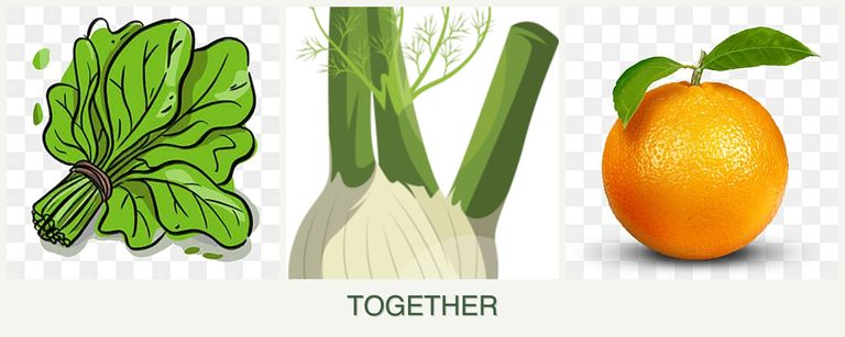 Can you plant spinach, fennel and oranges together?