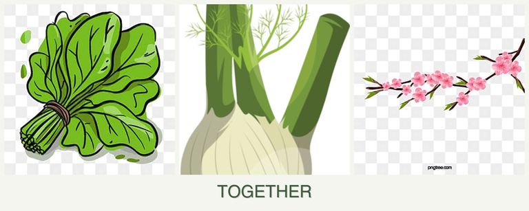 Can you plant spinach, fennel and peaches together?