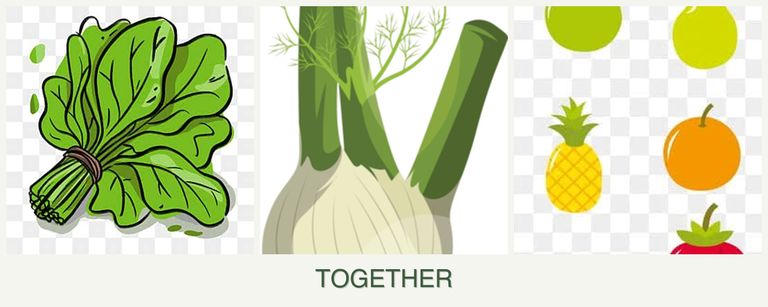 Can you plant spinach, fennel and pears together?