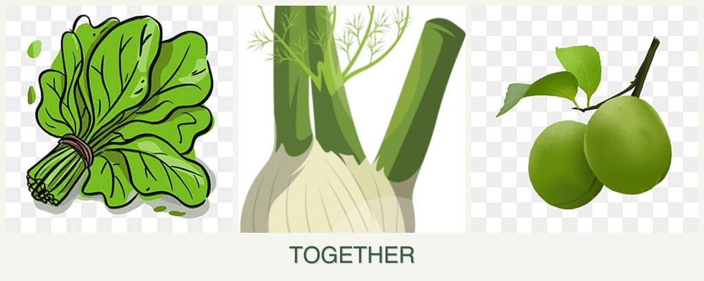 Can you plant spinach, fennel and plums together?