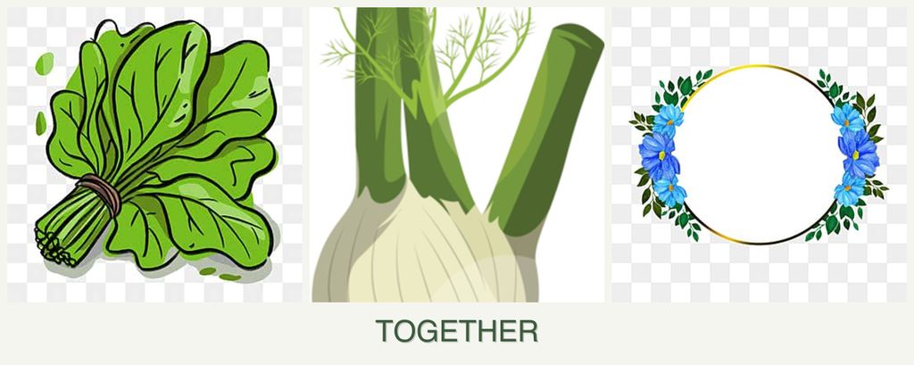 Can you plant spinach, fennel and zinnias together?