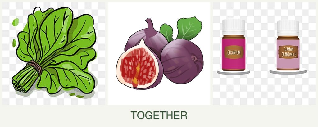 Can you plant spinach, figs and geraniums together?
