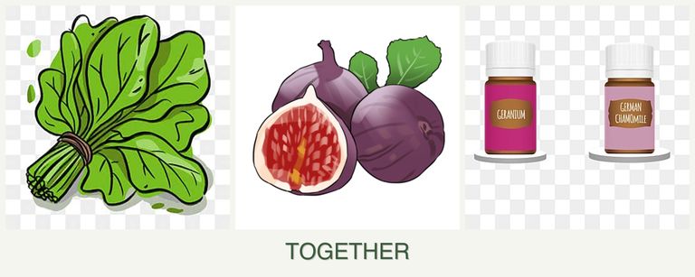 Can you plant spinach, figs and geraniums together?