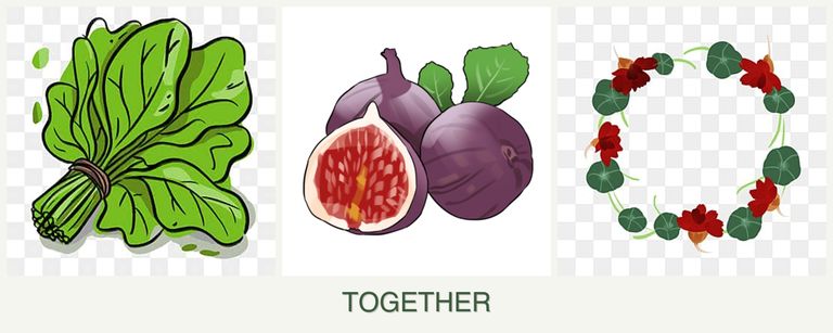 Can you plant spinach, figs and nasturtiums together?