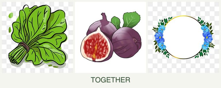Can you plant spinach, figs and zinnias together?