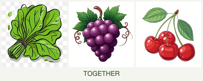 Can you plant spinach, grapes and cherries together?