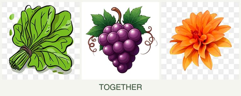 Can you plant spinach, grapes and dahlias together?