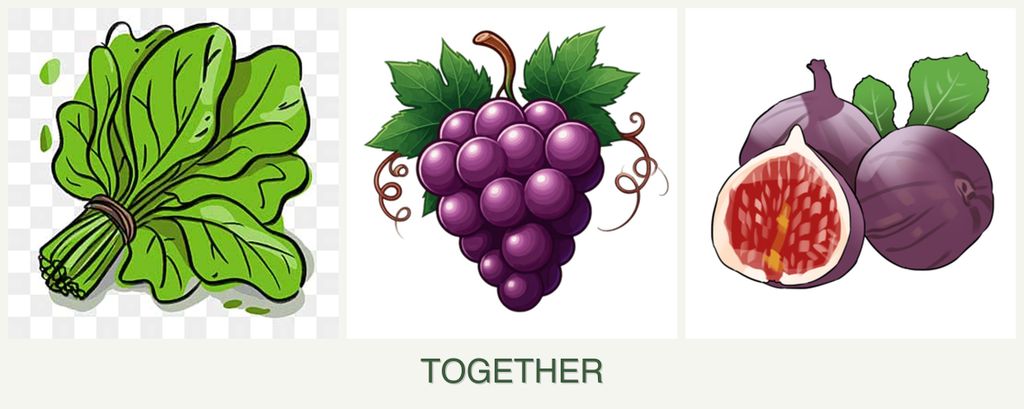 Can you plant spinach, grapes and figs together?