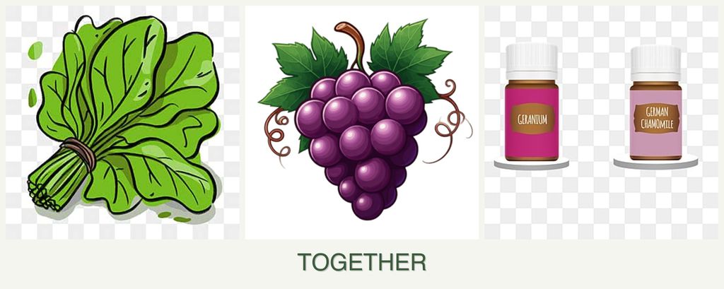 Can you plant spinach, grapes and geraniums together?
