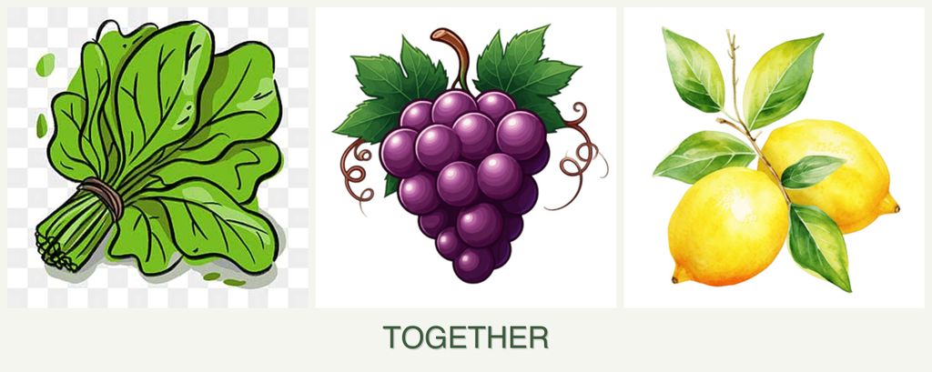 Can you plant spinach, grapes and lemons together?