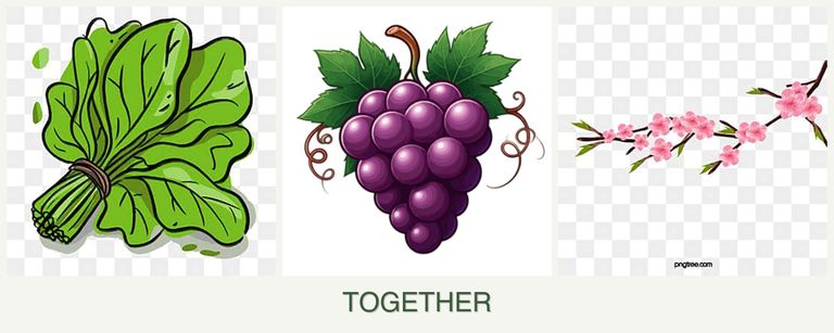 Can you plant spinach, grapes and peaches together?