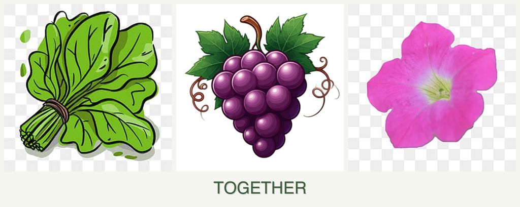 Can you plant spinach, grapes and petunias together?