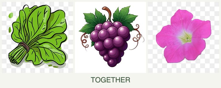 Can you plant spinach, grapes and petunias together?