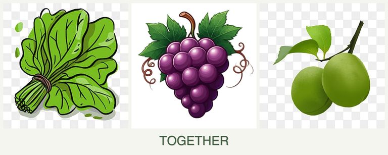 Can you plant spinach, grapes and plums together?