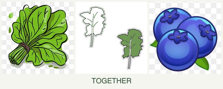 Can you plant spinach, kale and blueberries together?