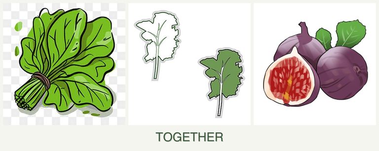 Can you plant spinach, kale and figs together?