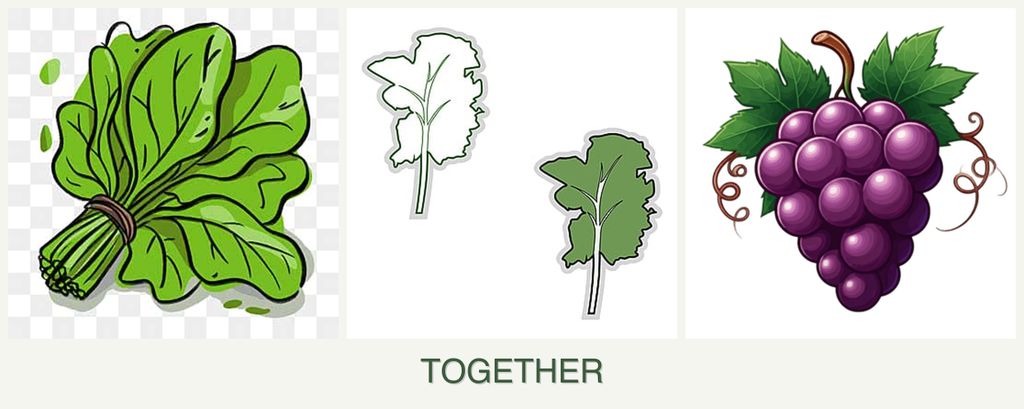 Can you plant spinach, kale and grapes together?