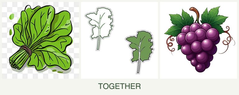 Can you plant spinach, kale and grapes together?