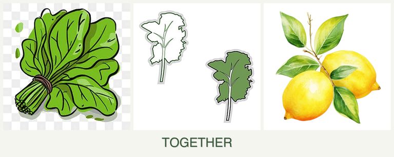 Can you plant spinach, kale and lemons together?