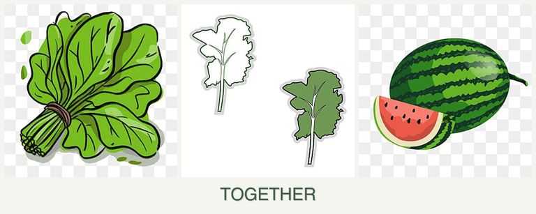 Can you plant spinach, kale and melons together?